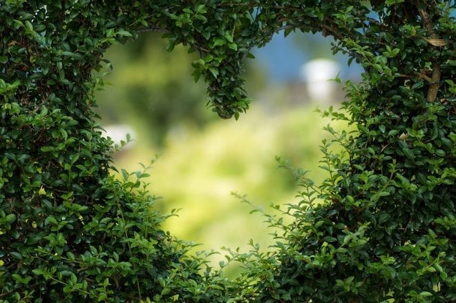 Jardinage - Préparer votre jardin pour l'hiver : conseils de saison en jardinage