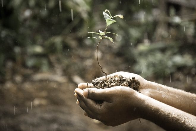 Hands - Pourquoi adopter la récupération d'eau de pluie pour une énergie verte et des économies durables ?