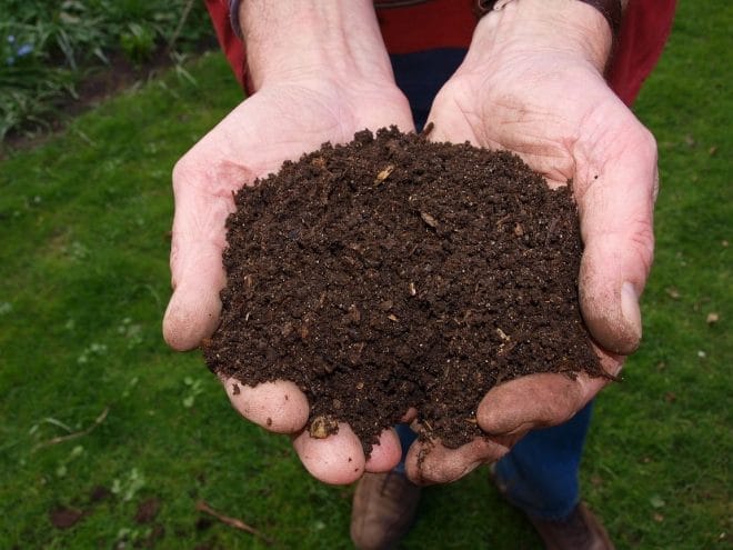 Compost - Les secrets du jardinage : Créer un compost maison et utiliser les meilleures techniques