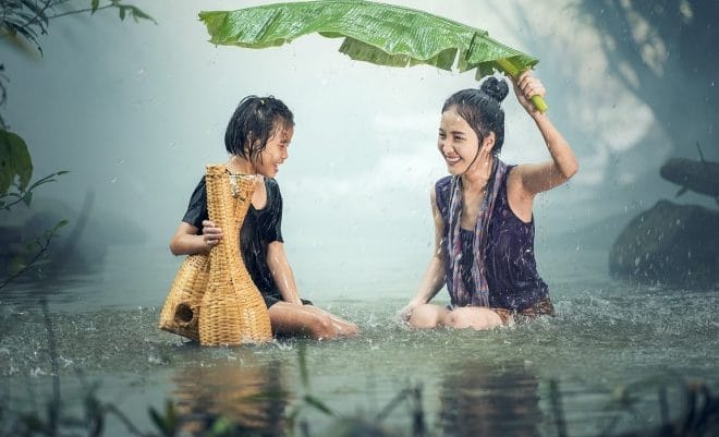 Eau pluie - Utiliser l'eau de pluie dans votre jardin : énergie verte et économies d'eau