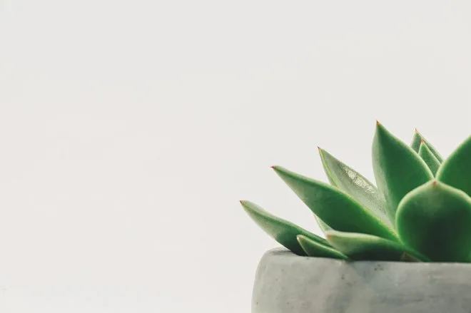 Minimalisme - Guide pratique du minimalisme pour débutants : simplifiez votre vie et organisez votre maison