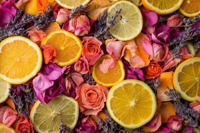 Image d'illustration. Arrangement vibrant de potpourri de roses