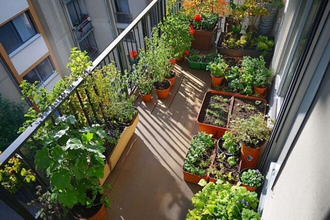 Image d'illustration. Vue aérienne des jardins en capsules sur balcon